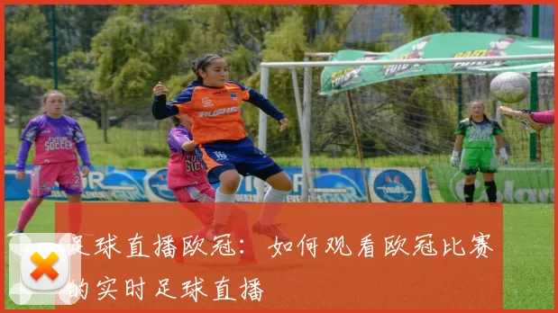 足球直播欧冠：如何观看欧冠比赛的实时足球直播