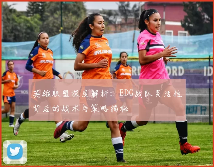 英雄联盟深度解析：EDG战队灵活性背后的战术与策略揭秘