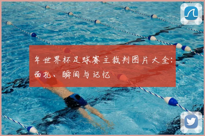 年世界杯足球赛主裁判图片大全：面孔、瞬间与记忆