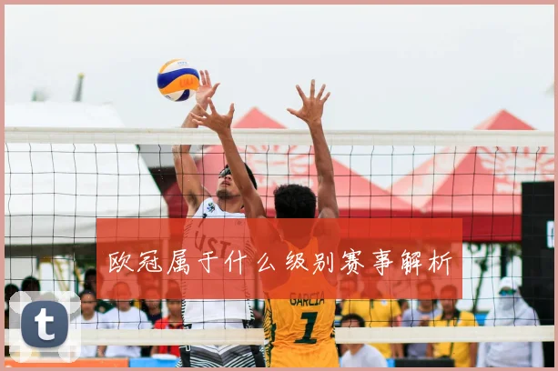 欧冠属于什么级别赛事解析