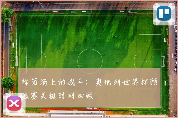 绿茵场上的战斗:奥地利世界杯预选赛关键时刻回顾