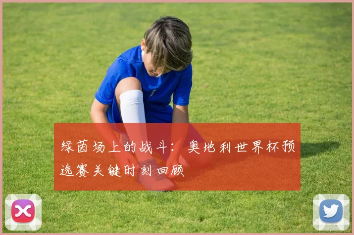 绿茵场上的战斗：奥地利世界杯预选赛关键时刻回顾