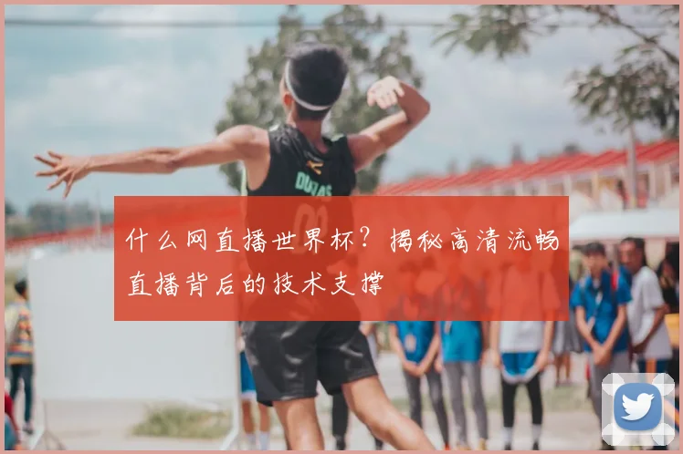 什么网直播世界杯？揭秘高清流畅直播背后的技术支撑