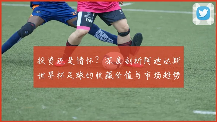 投资还是情怀？深度剖析阿迪达斯世界杯足球的收藏价值与市场趋势