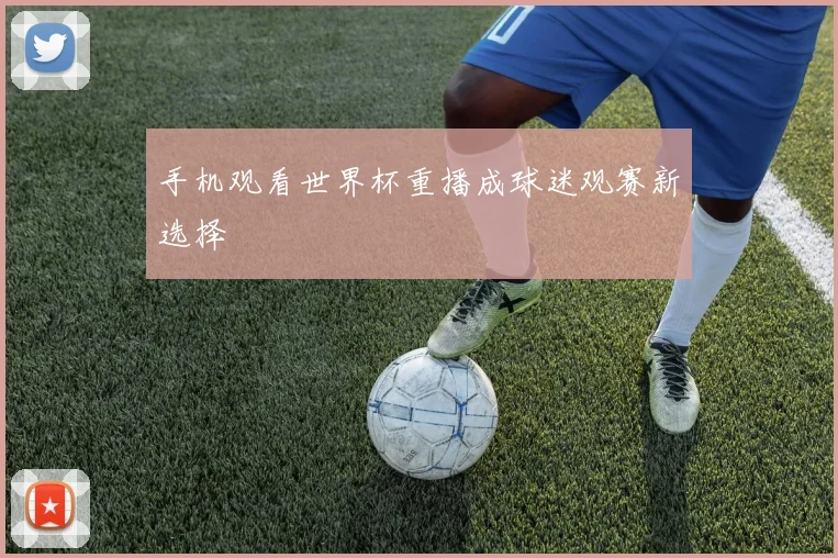 手机观看世界杯重播成球迷观赛新选择
