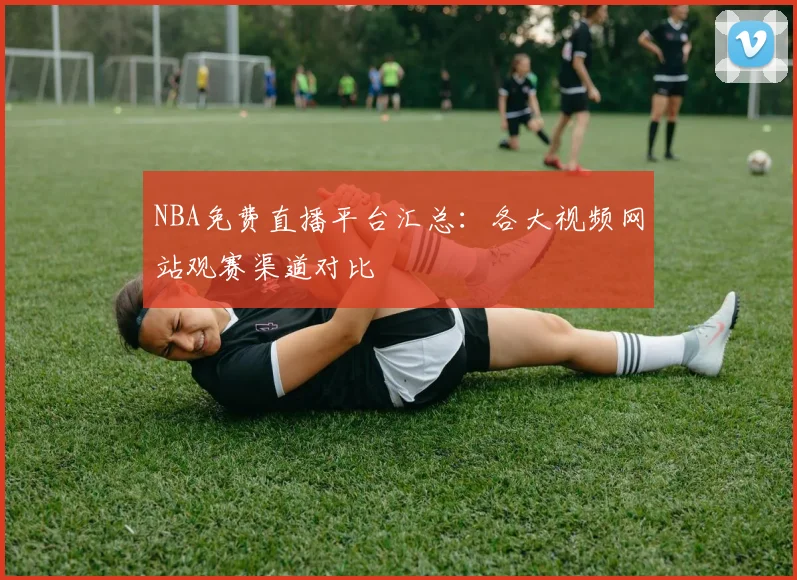 NBA免费直播平台汇总：各大视频网站观赛渠道对比