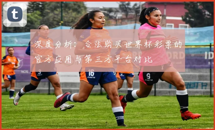 深度分析：合法购买世界杯彩票的官方应用与第三方平台对比