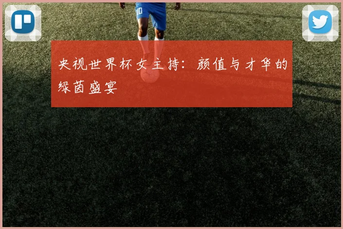 央视世界杯女主持：颜值与才华的绿茵盛宴