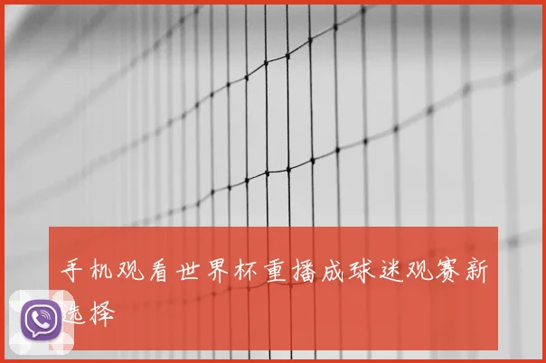 手机观看世界杯重播成球迷观赛新选择