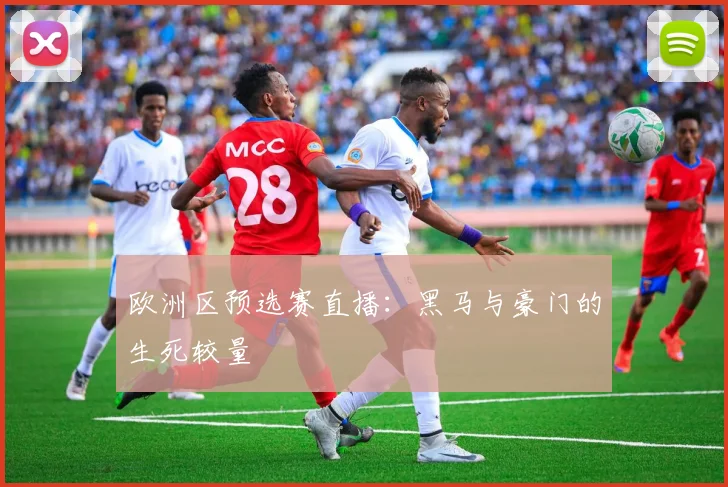欧洲区预选赛直播:黑马与豪门的生死较量
